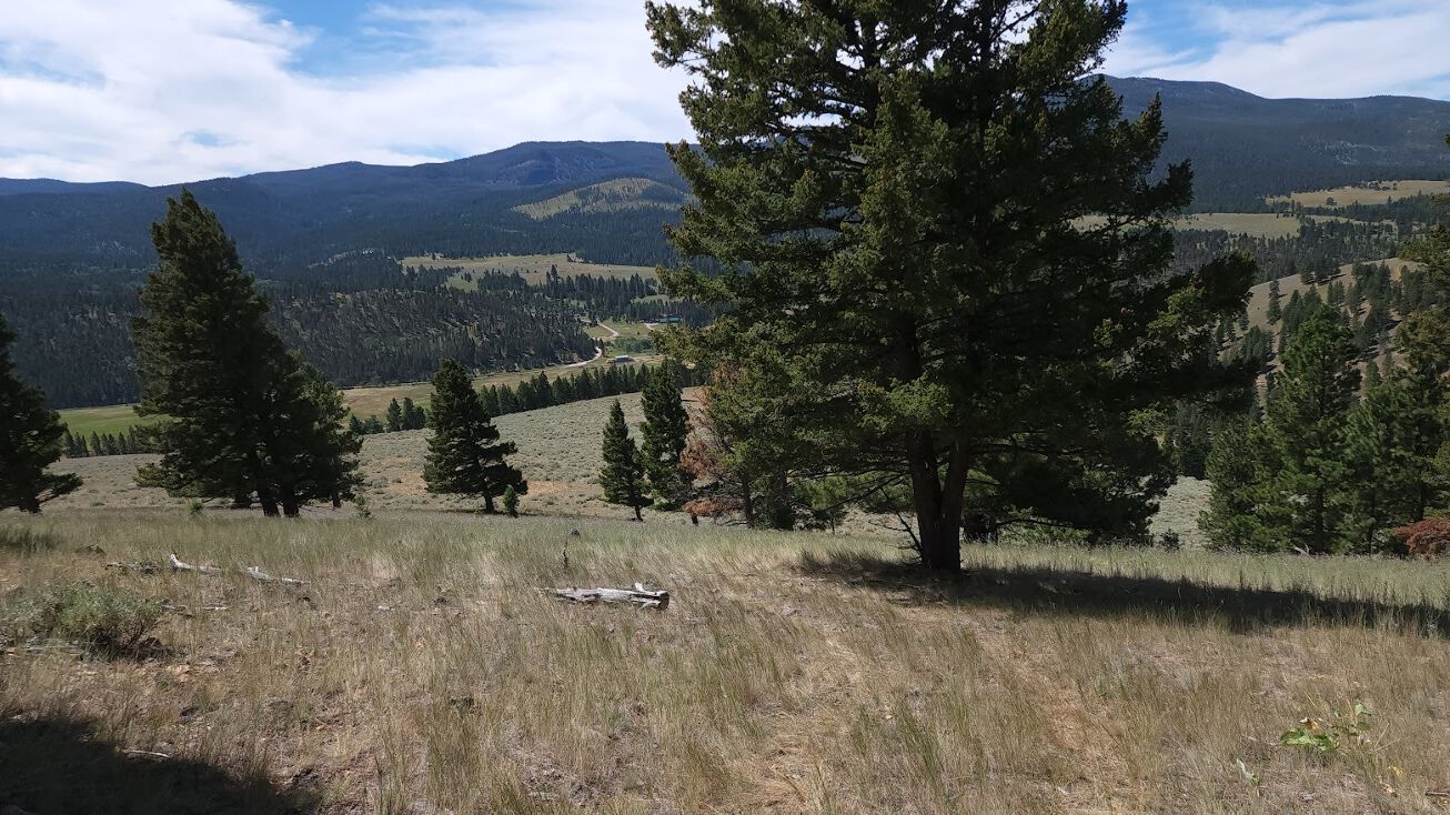 24 Nevada Creek Ranch, Helmville, MT 59843