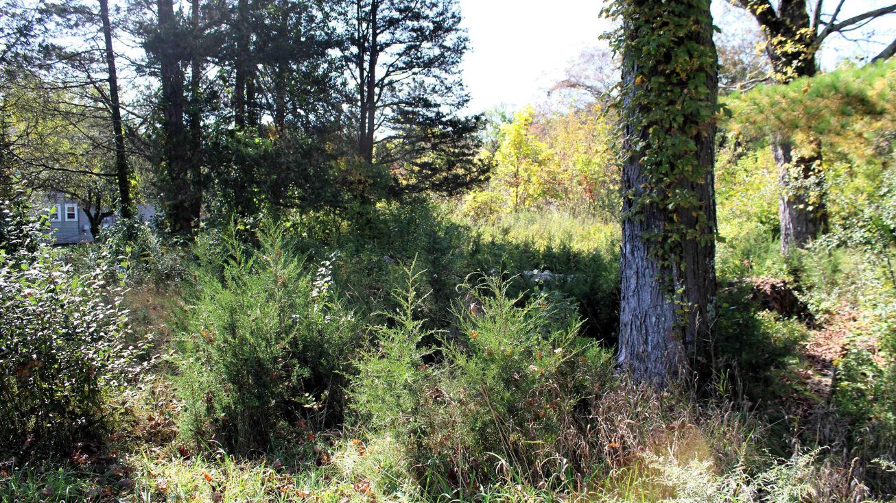 59 Samsonville Rd, Kerhonkson, NY 12440