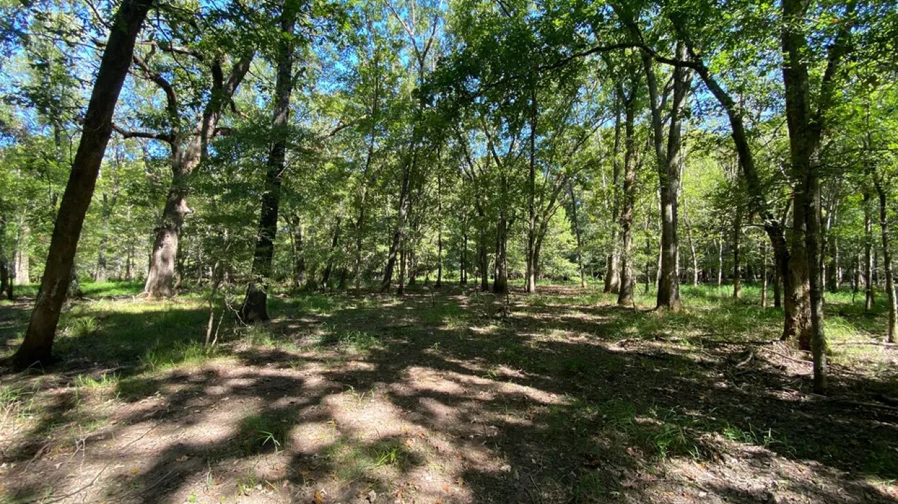 00 Roland Cutoff, Roland, AR 72135