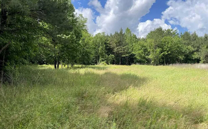 Pictures of Land property located at 0 Middleburg Road, Chesterfield, TN 38351 for sales - image #1