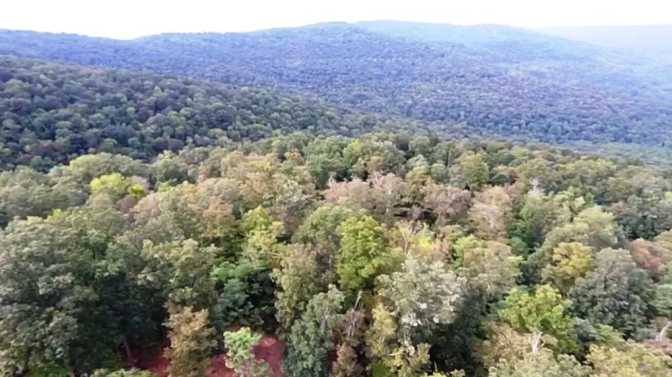 Beautiful side of the Mountain 50 Acres, Huntland, TN 37345