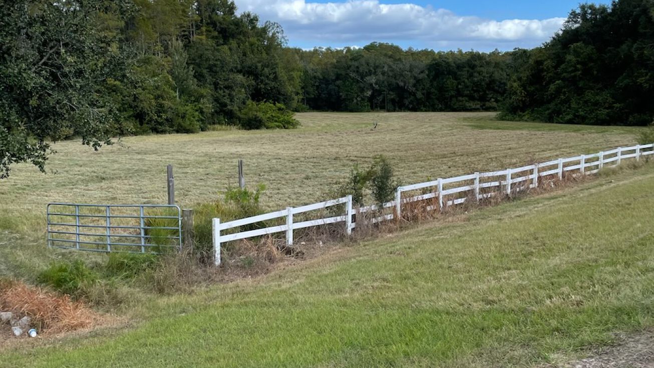 FL54, Lutz, FL 33558