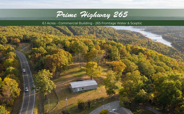Pictures of Land, Mixed Use property located at 4145 State Hwy 265, Branson, MO 65616 for sales - image #1