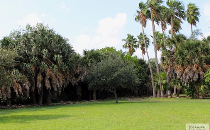 Pictures of Land property located at 1125 Paredes Line Rd., Brownsville, TX 78526 for sales - image #1