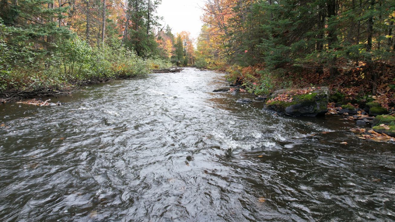 Seney Rd, Negaunee, MI 49866