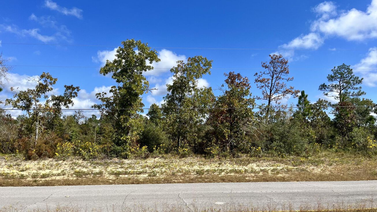 Lot 20 Deltona Boulevard, Chipley, FL 32428