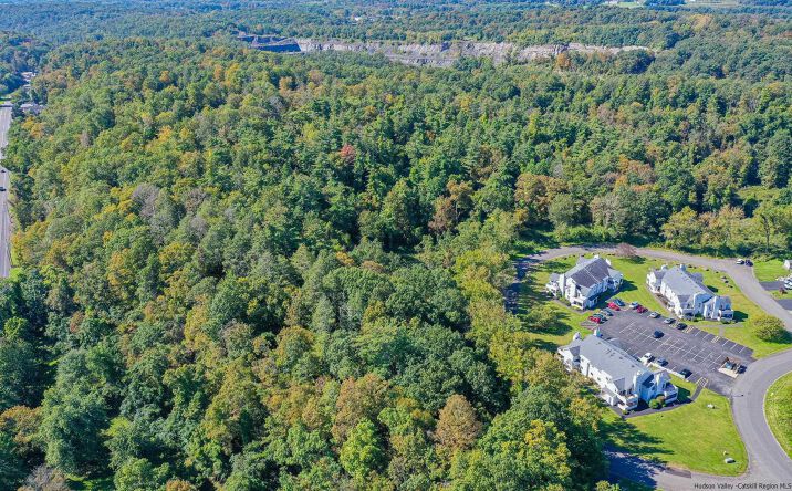 Pictures of Land property located at TBD Tiger Maple, Glasco, NY 12477 for sales - image #1