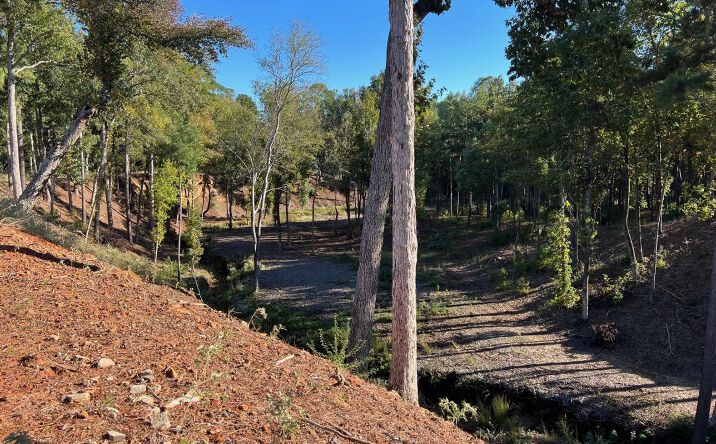 Pictures of Land property located at Swinging Bridge Rd, Longview, TX 75604 for sales - image #1