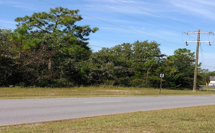 Pictures of Land property located at 000 Elkcam Boulevard, Chipley, FL 32428 for sales - image #1