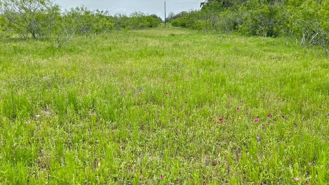 FM2814, Waelder, TX 78959