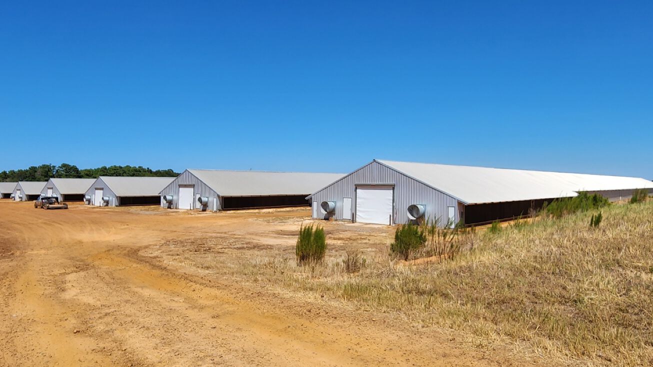 13572 N Fm 95, Nacogdoches, TX 75961