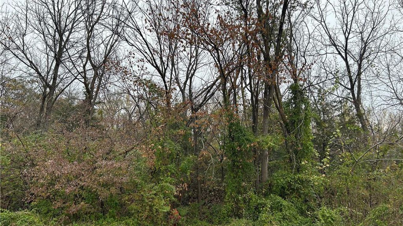 12024 Leavenworth Road, Kansas City, KS 66109