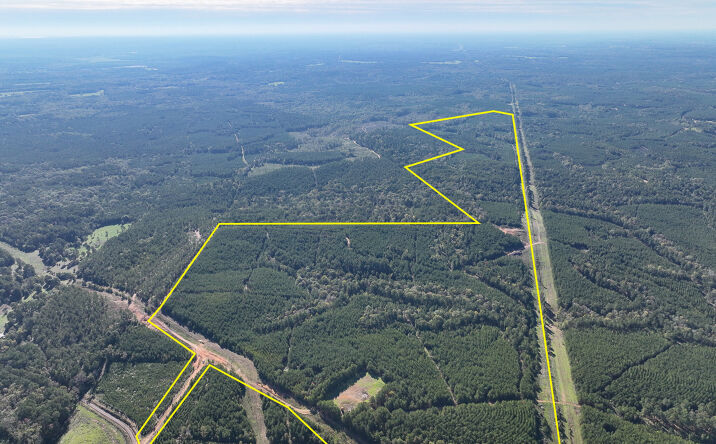 Pictures of Land property located at 03 CR 1090, Center, TX 75935 for sales - image #1