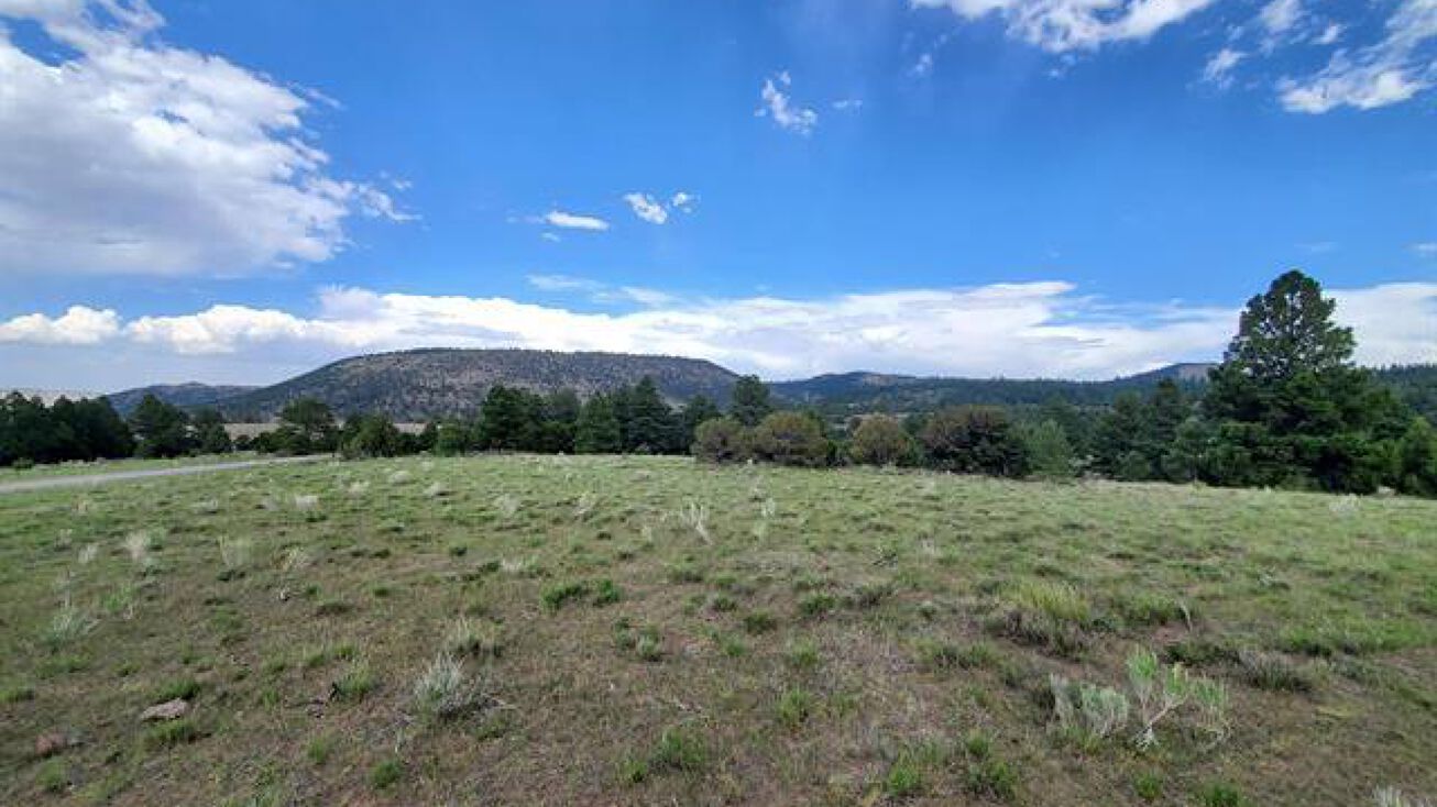 Lot 15 Rito Hondo Court, Antonito, CO 81120