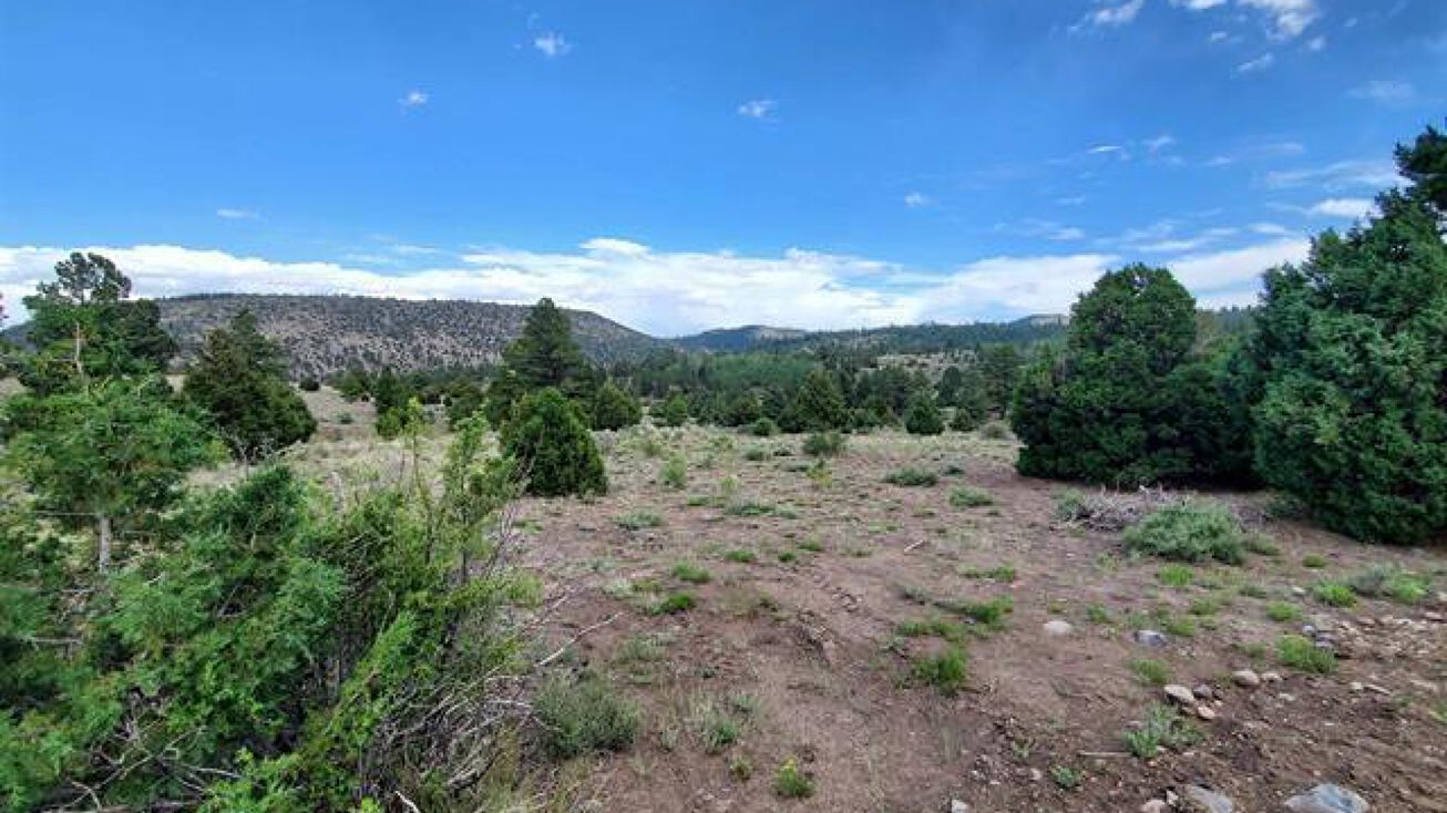 Lot 17A Rito Hondo Road, Antonito, CO 81120