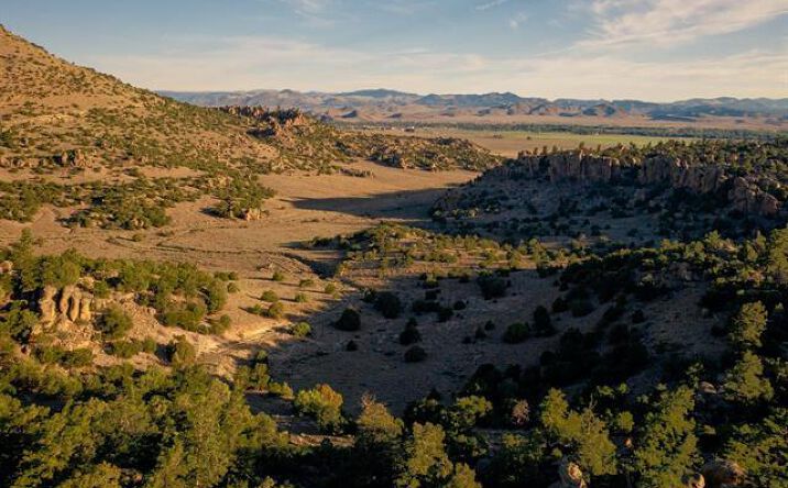 Pictures of Land property located at Tract 42 Wapiti Ridge Road, Del Norte, CO 81132 for sales - image #1