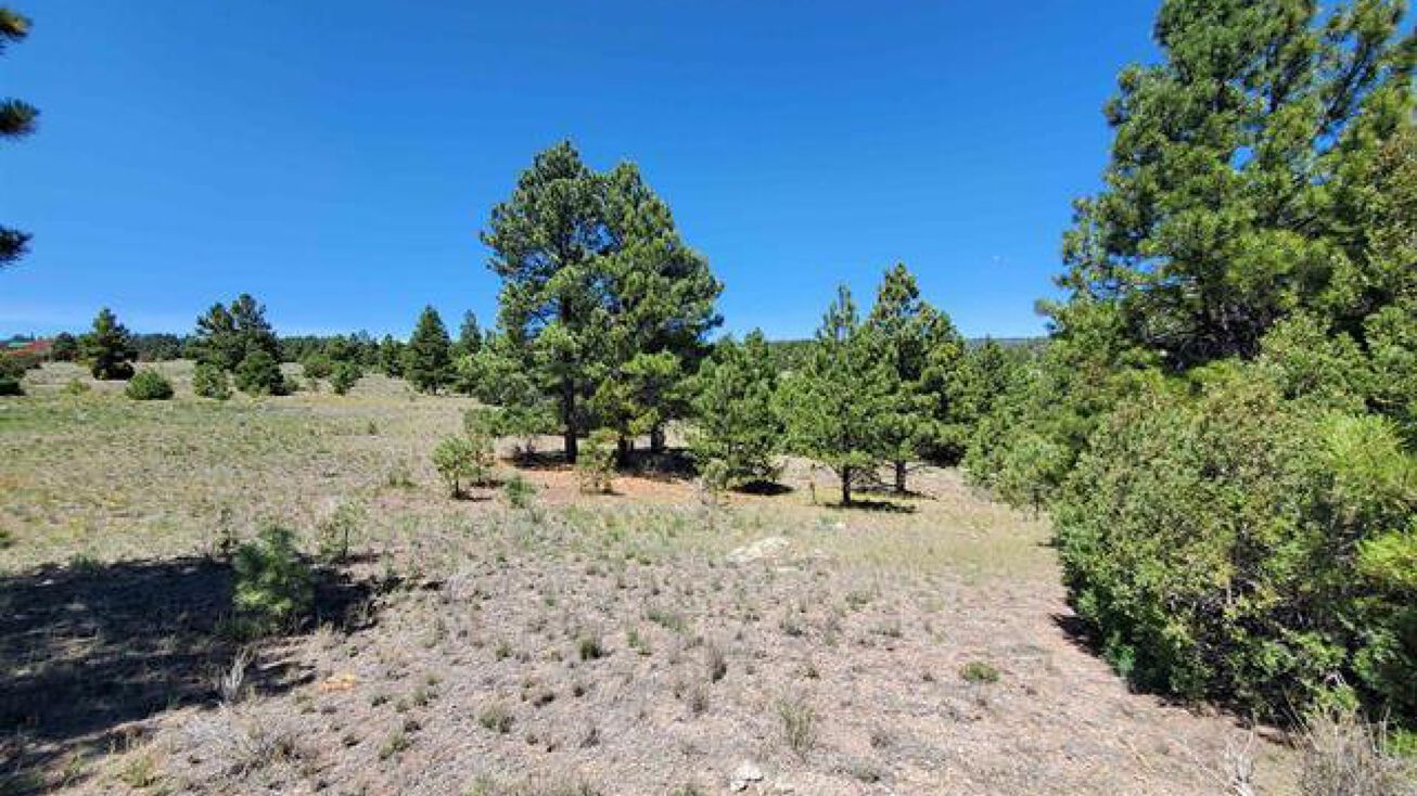 Lot 1 Rito Hondo Road, Antonito, CO 81120