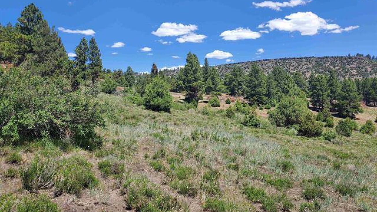 Lot 5 North Rito Hondo Court, Antonito, CO 81120