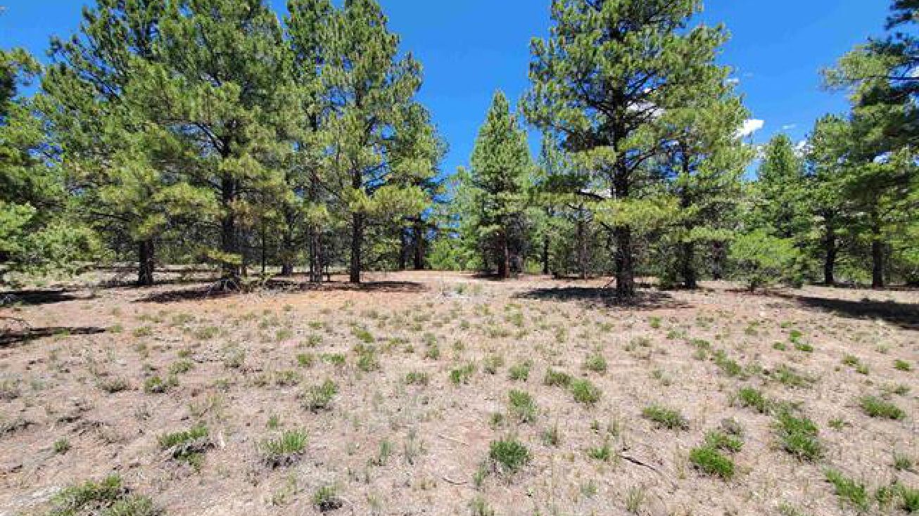 Lot 6 North Rito Hondo Court, Antonito, CO 81120