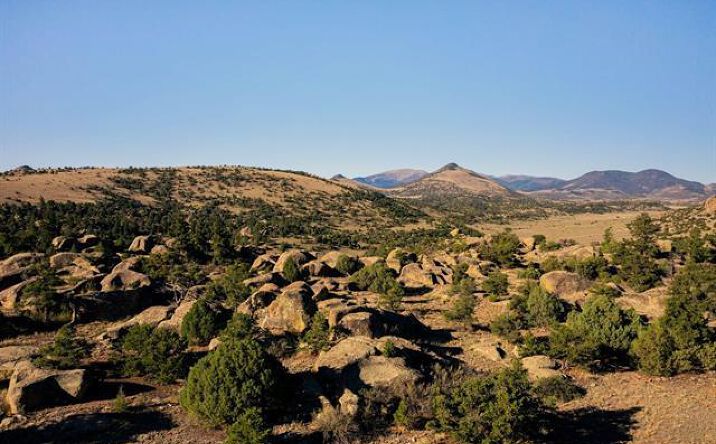 Pictures of Land property located at 227 Altair Road, Del Norte, CO 81132 for sales - image #1