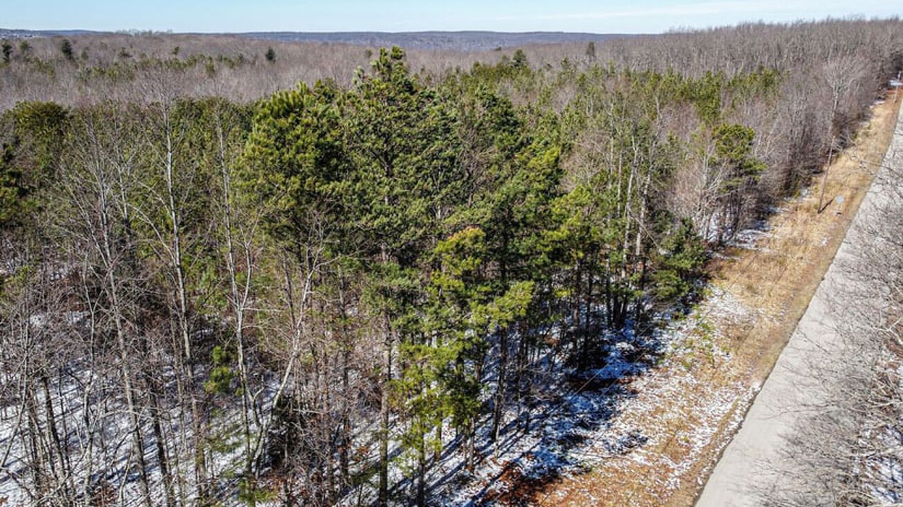 0 Northcutts Cv Rd, Beersheba Springs, TN 37305