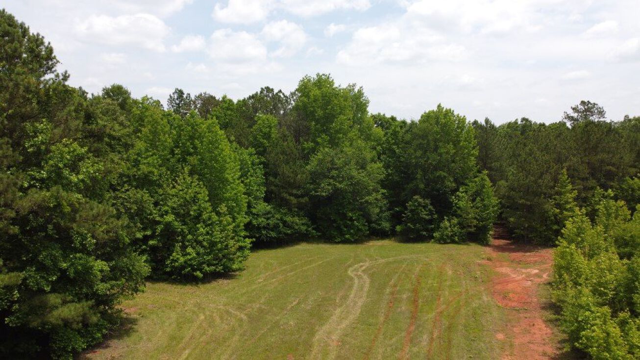 63 Acres Great North Rd, Winnsboro, SC 29180