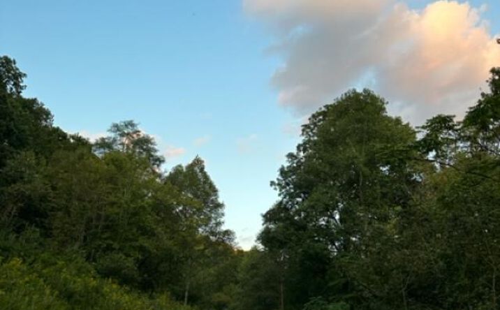 Pictures of Retail, Land property located at Off Grid 89+/-Acre Hunting Property, Louisa, KY 41230 for sales - image #1
