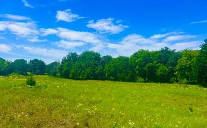 Pictures of Land property located at Lot 100 Sarra Ranch, Poolville, TX 76487 for sales - image #1
