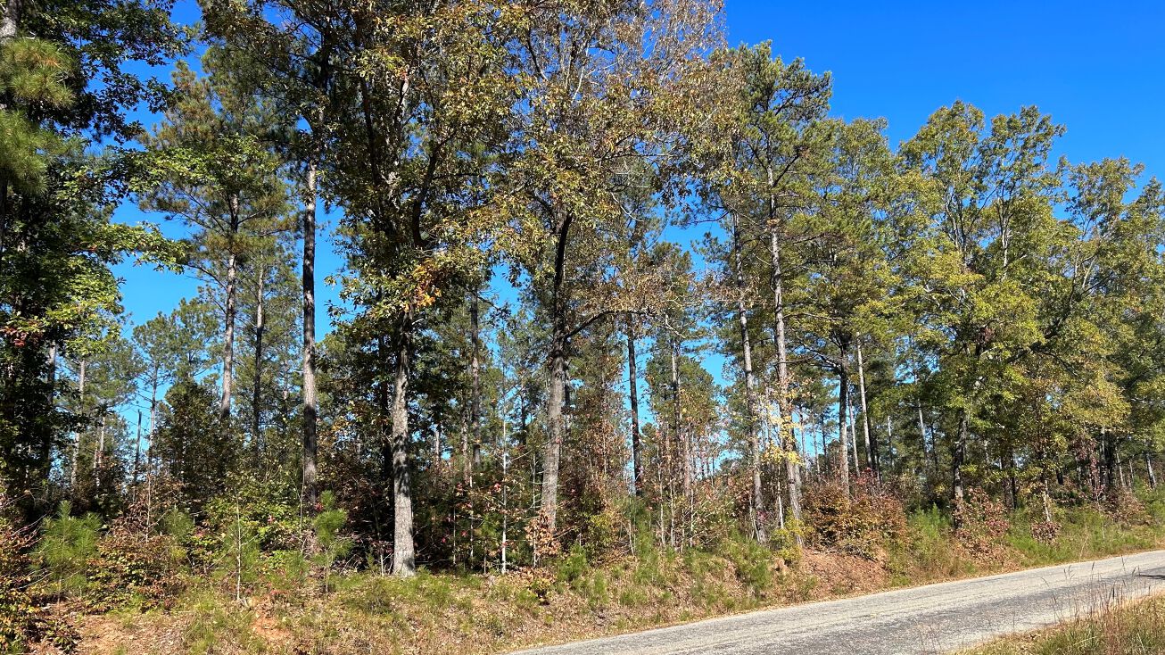 570 Greenville Church Rd, Donalds, SC 29638