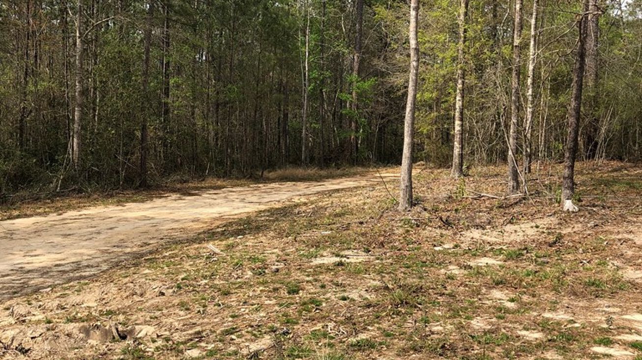 4 Progress Silver Run Rd, Poplarville, MS 39470