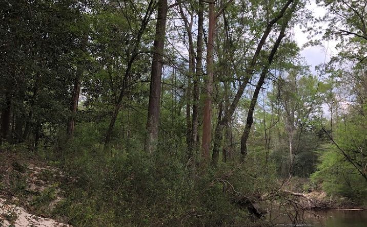 Pictures of Land, Multifamily, Special Purpose property located at 4 Progress Silver Run Rd, Poplarville, MS 39470 for sales - image #1