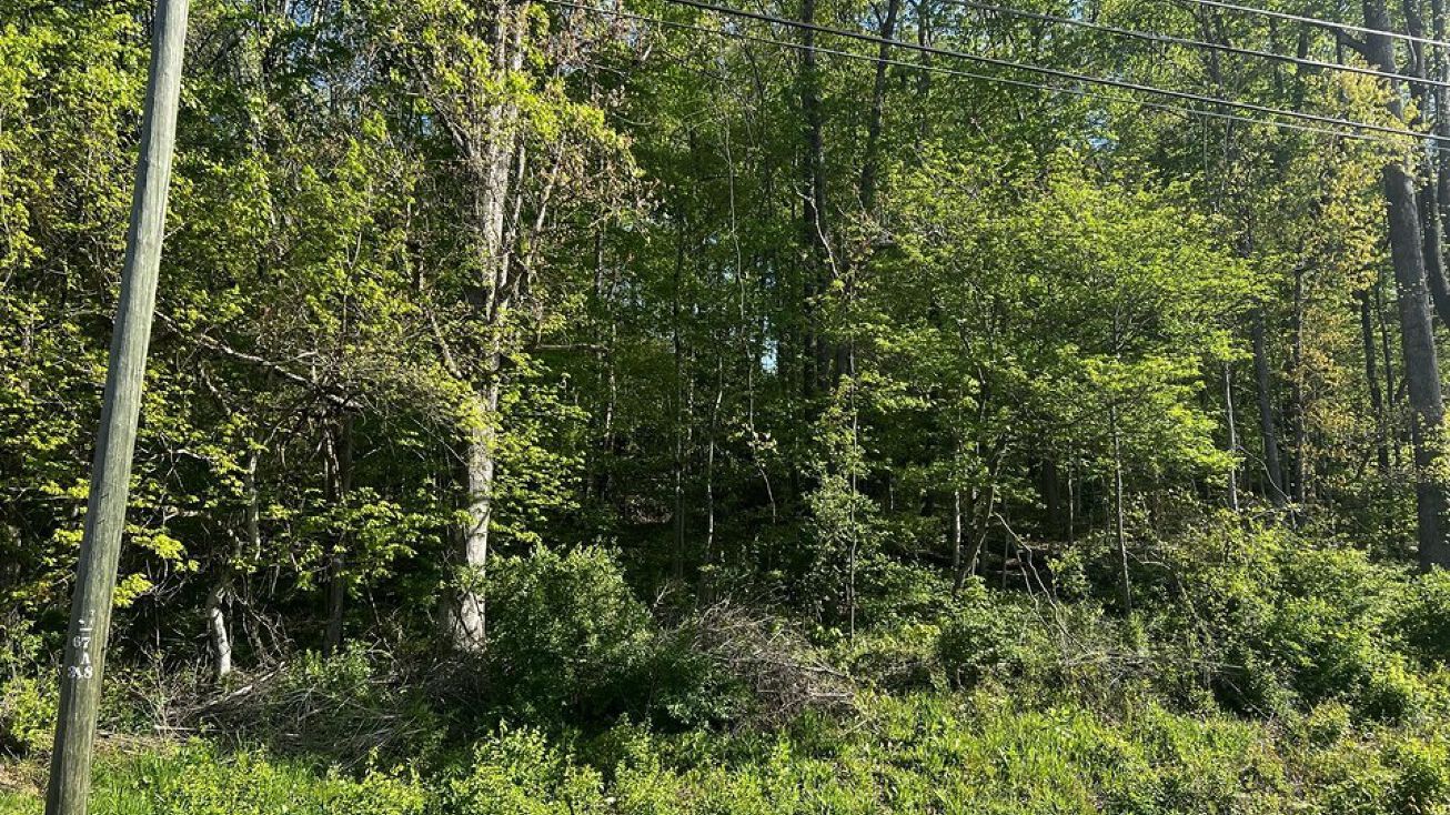 Asheville Hwy, Knoxville, TN 37924