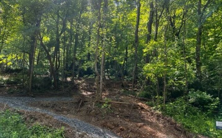 image of property at DUSTY LN Powell TN 37849-7514