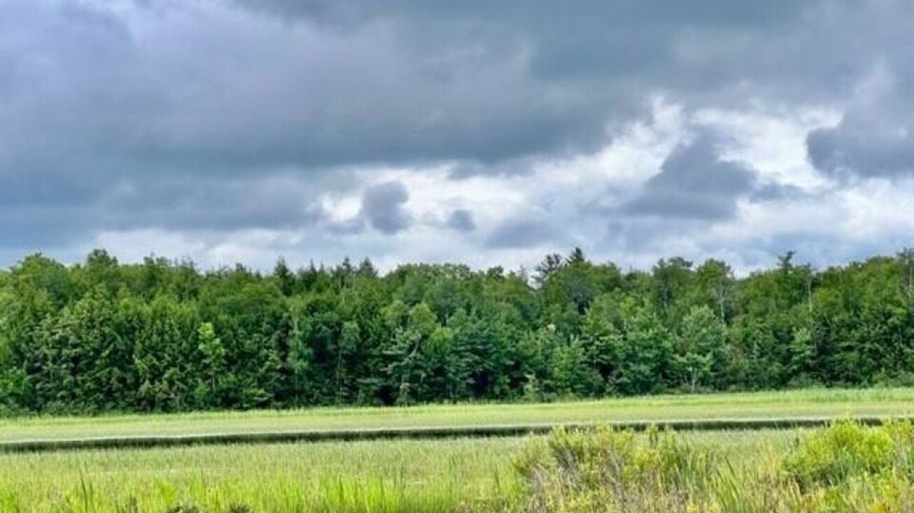 7461 River Rd, Hayward, WI 54843