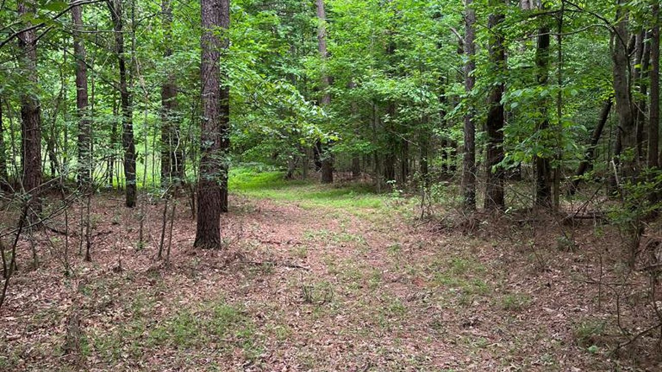 Hwy 190, Palmersville, TN 38241