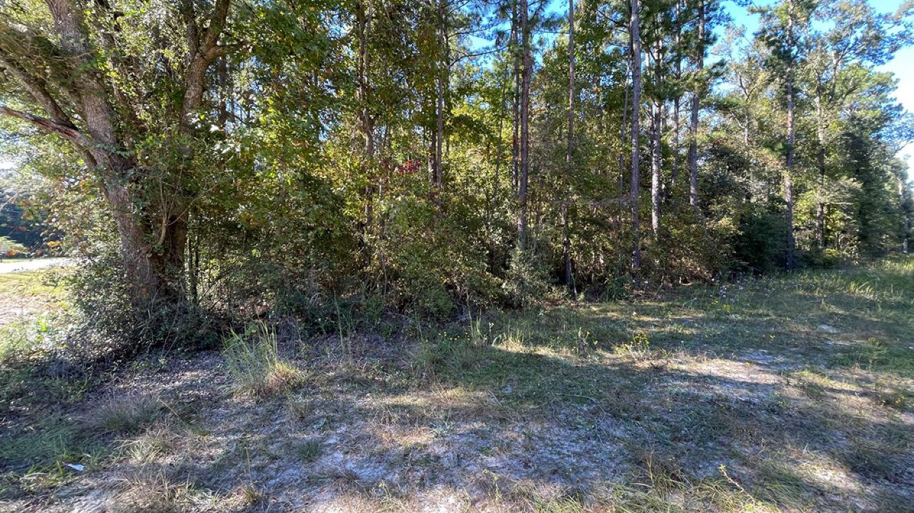 Rayonier Rd, Jesup, GA 31545