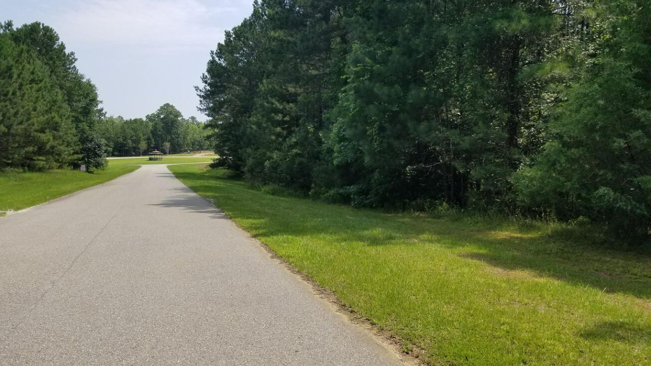 1242 Striper Cove, Tignall, GA 30668