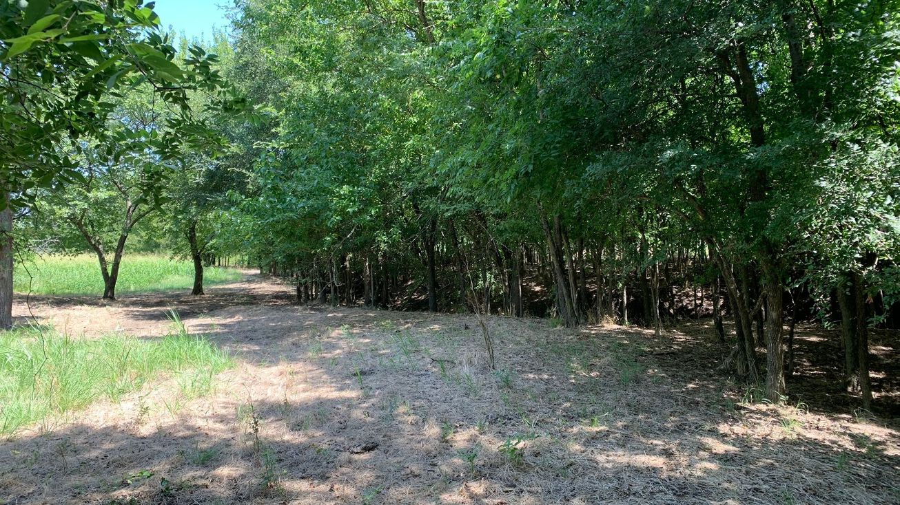 Elliott Rd, Southmayd, TX 75092