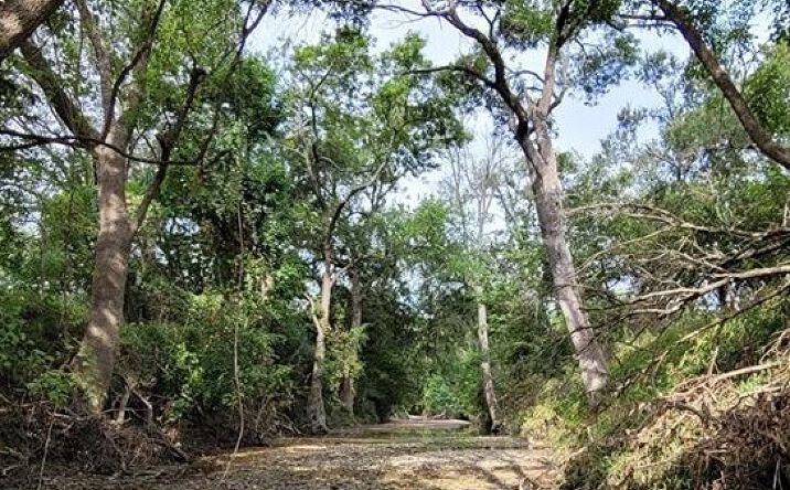 Pictures of Land property located at Rosanky Rd, Holland, TX 76534 for sales - image #1