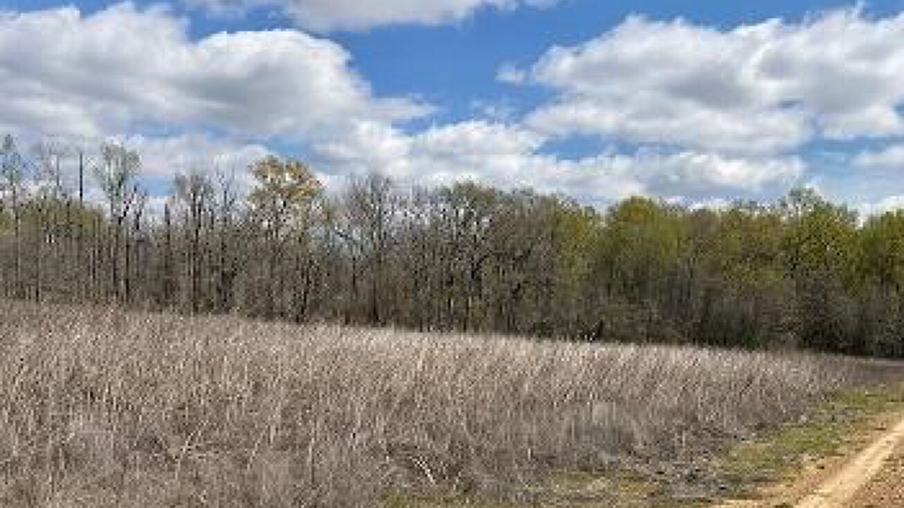 4 lots in Yazoo County, Yazoo City, MS 39194