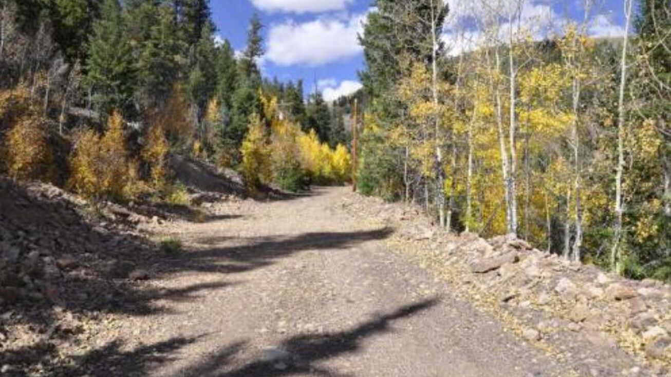 Black Chief Mining Claim, Creede, CO 81130 Land for Sale Black