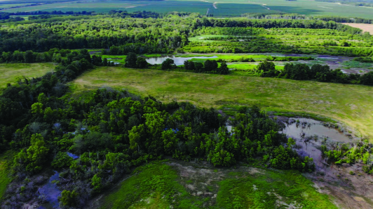 Walkers Slough, Wilmot, AR 71676 | Crexi.com