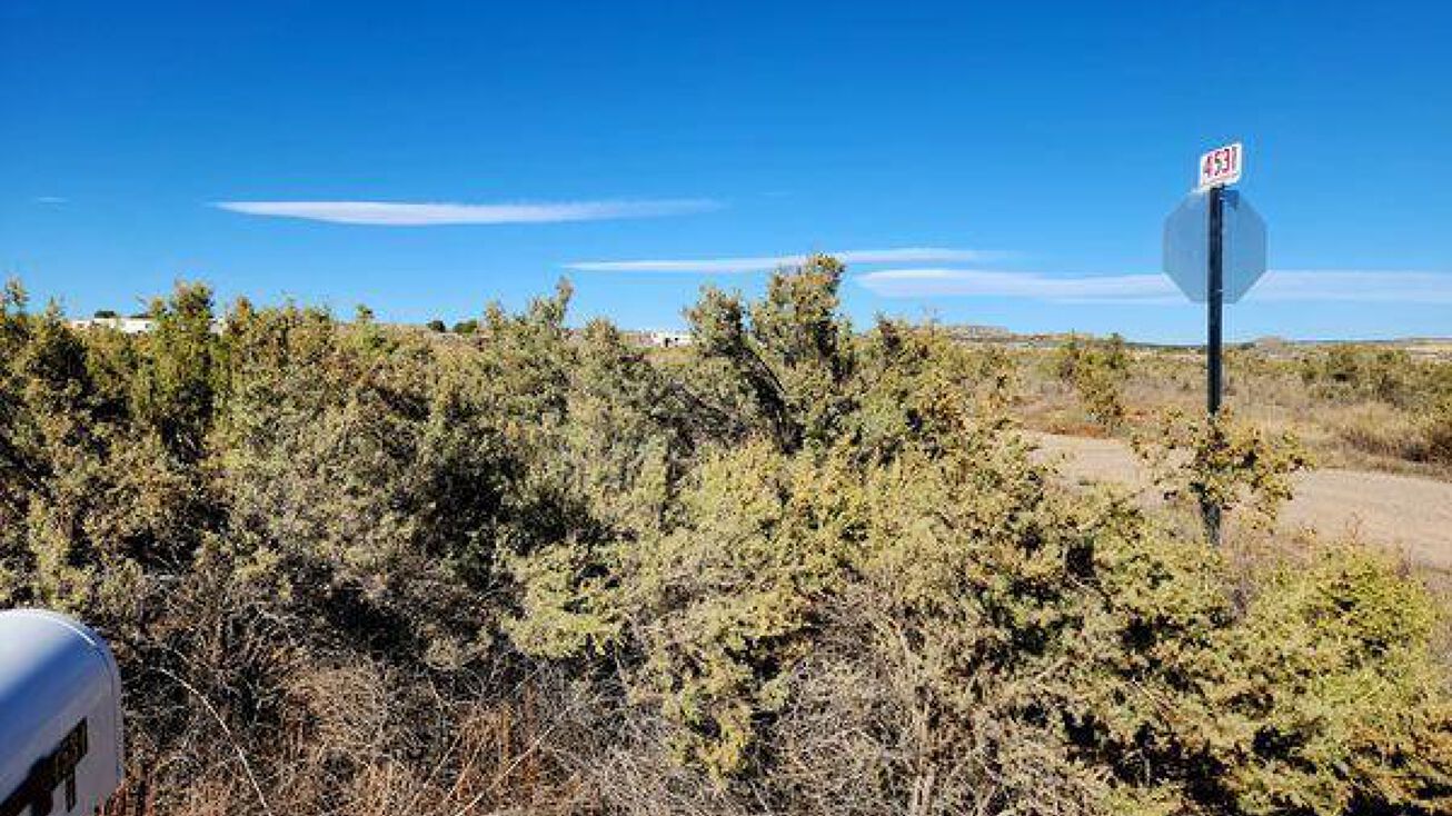 XX ROAD 4599, Blanco, NM 87412