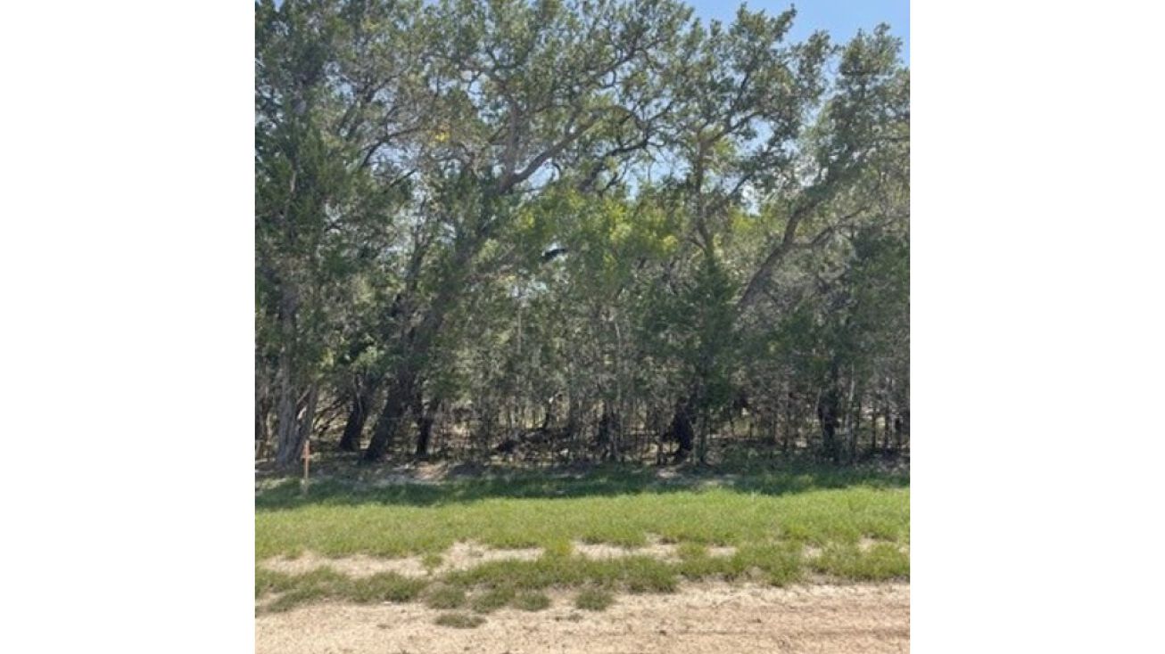 Live Oak Dr, Lakehills, TX 78063