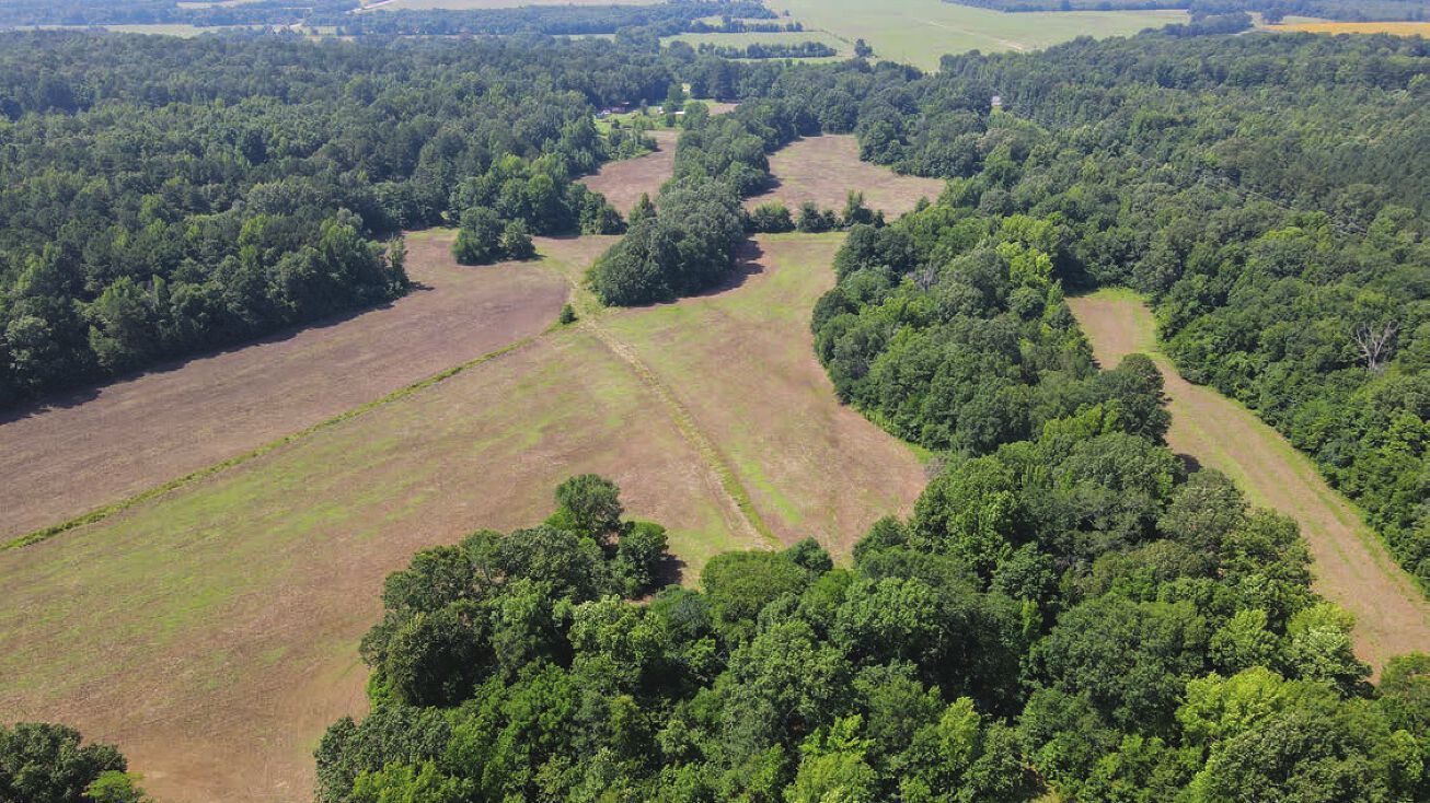 864 Acres, Ben Lomond, AR 71846
