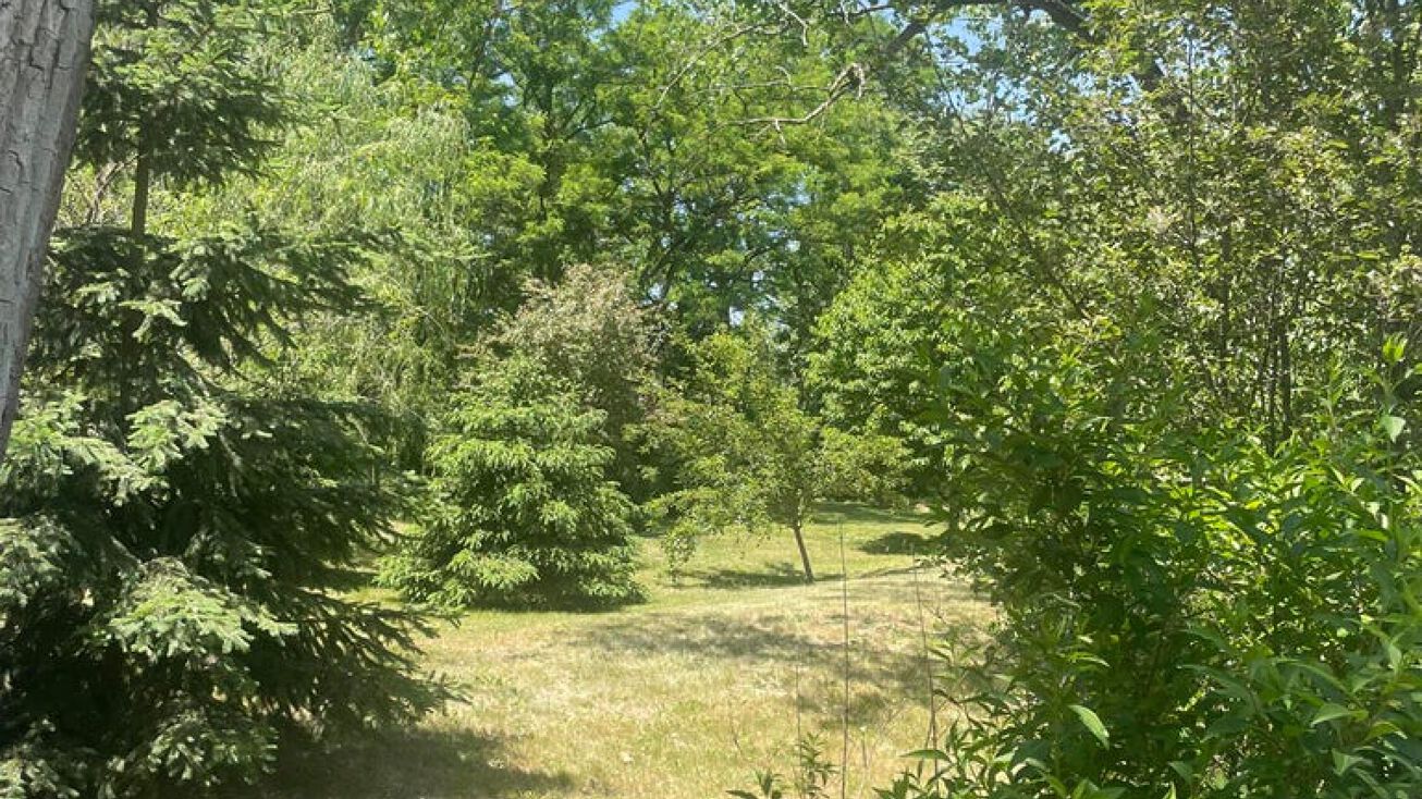 Church St, Kingston, PA 18704