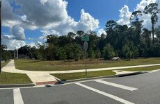 13603678