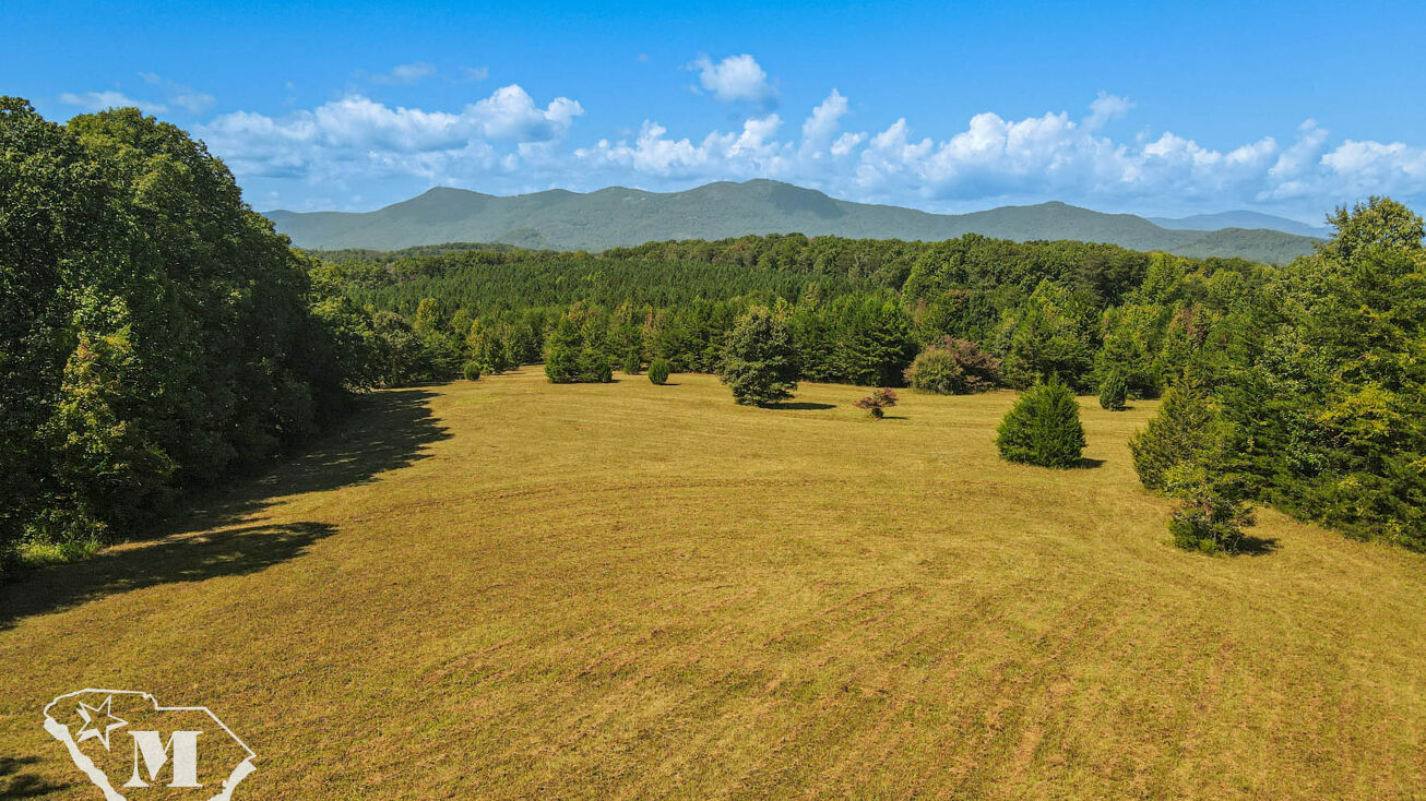 Peniel Rd, Tryon, NC 28782