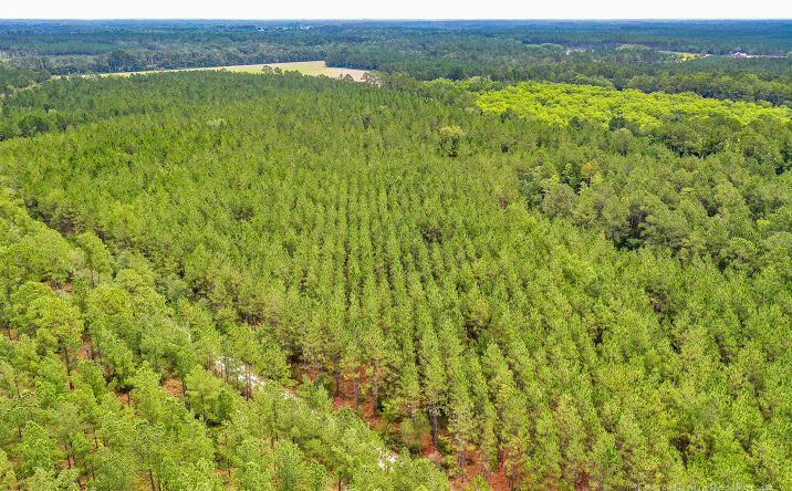 Pictures of Land property located at 0 Miller Hayes Rd, Waycross, GA 31503 for sales - image #1