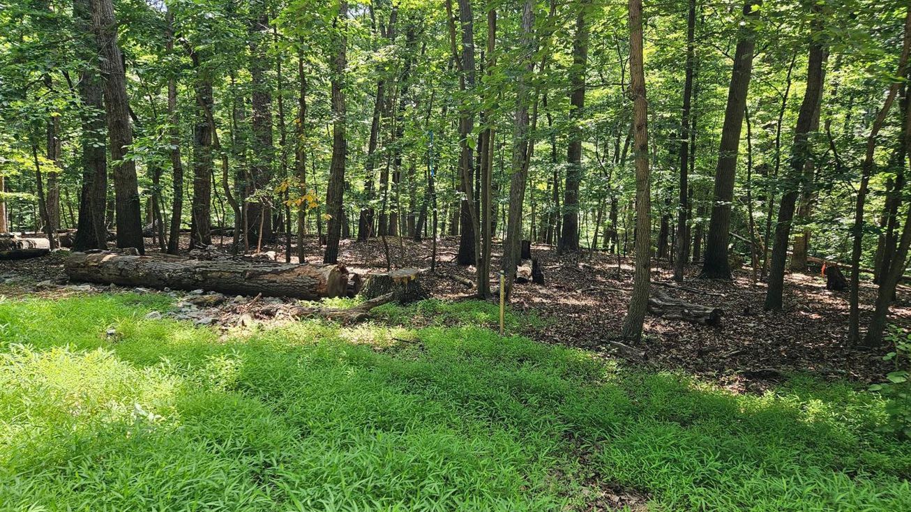 Dogwood Ln, Mount Weather, VA 20135